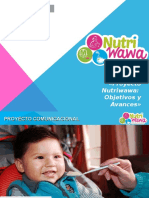 PNWW - Taller Macroregional PUNO 2015