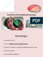 5. Familia Enterobacteriaceae