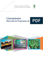 Lineamientos2012 PDF