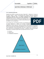 5-SupervisaoLiderancaeMotivacao-16.pdf