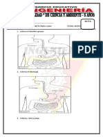 Control de Calidad Ciencia y Comunicacion