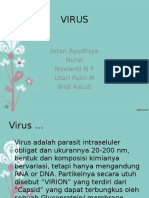 Virus