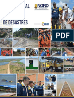 PNGRD-2015-2025-Version-Preliminar.pdf