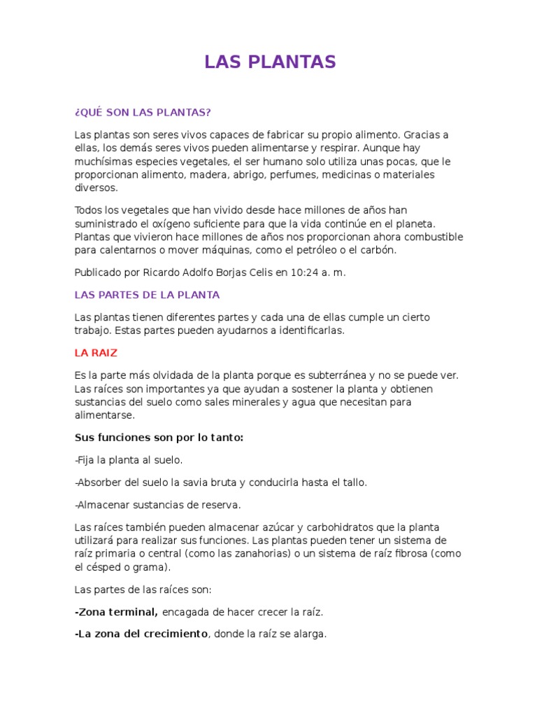 Las Plantas y Sus Partes | PDF | Tallo de la planta | Plantas