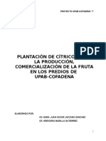 Proyecto Plantacion de Citrico UPAB-COFADENA