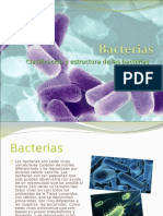 Bacterias