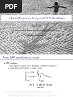 Niko Busch - Time Frequency Analysis of EEG Data PDF