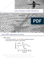 Niko Busch - Time Frequency Analysis of EEG Data PDF