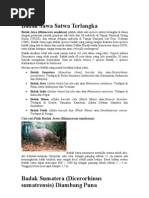 Download Badak Jawa Satwa Terlangka by Jaka Tingkir SN32430227 doc pdf