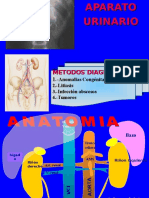 Diagnóstico Por Imagen II - Aparato Renal