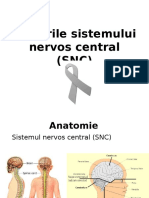 Tumori SNC