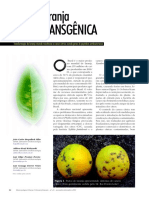 Laranja transgênica.pdf