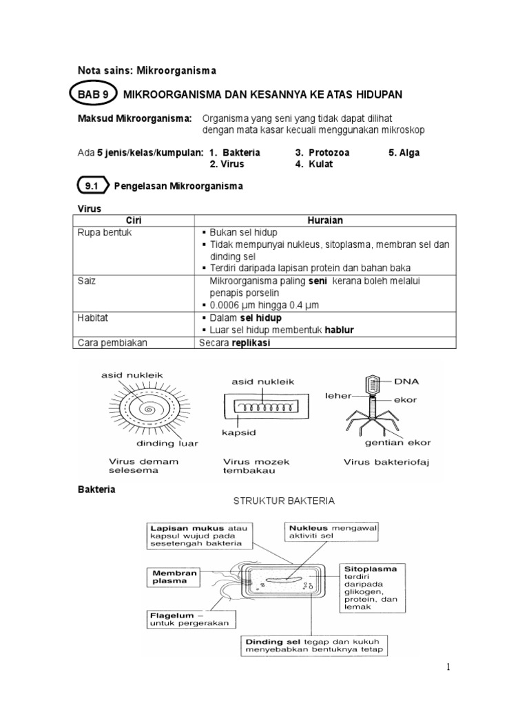 Nota Sains Mikroorganisma Kelas dan Kesan.doc