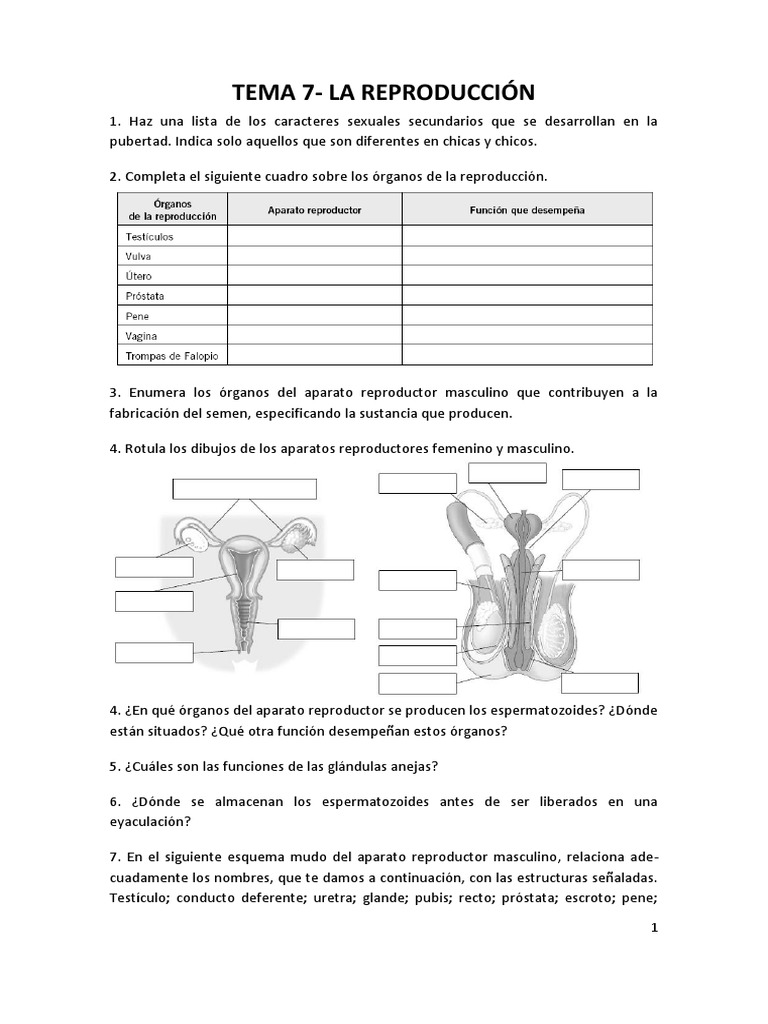 Ejercicios Tema 7 La Reproduccion