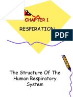 Chapter 1 Respiration