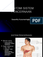 2. ANATOMI SISTEM PENCERNAAN0809.ppt