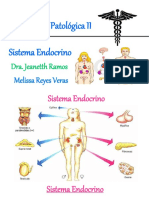 Histología Del Sistema Endocrino