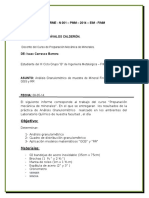 INFORME 01 Micros