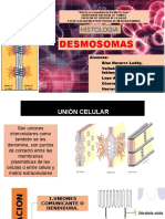 Desmosomas EXPOSICION