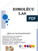 biomoléculas