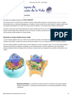 Partes de Una Celula - ASU - Ask A Biologist PDF