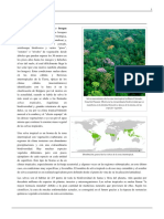 selva.pdf