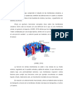 Membranas Celulares: Transporte Activo y Pasivo