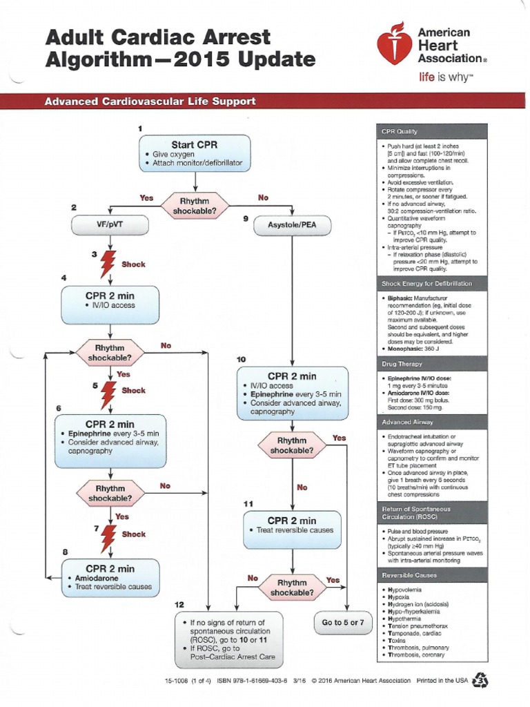 2015 ACLS Algorithms | PDF