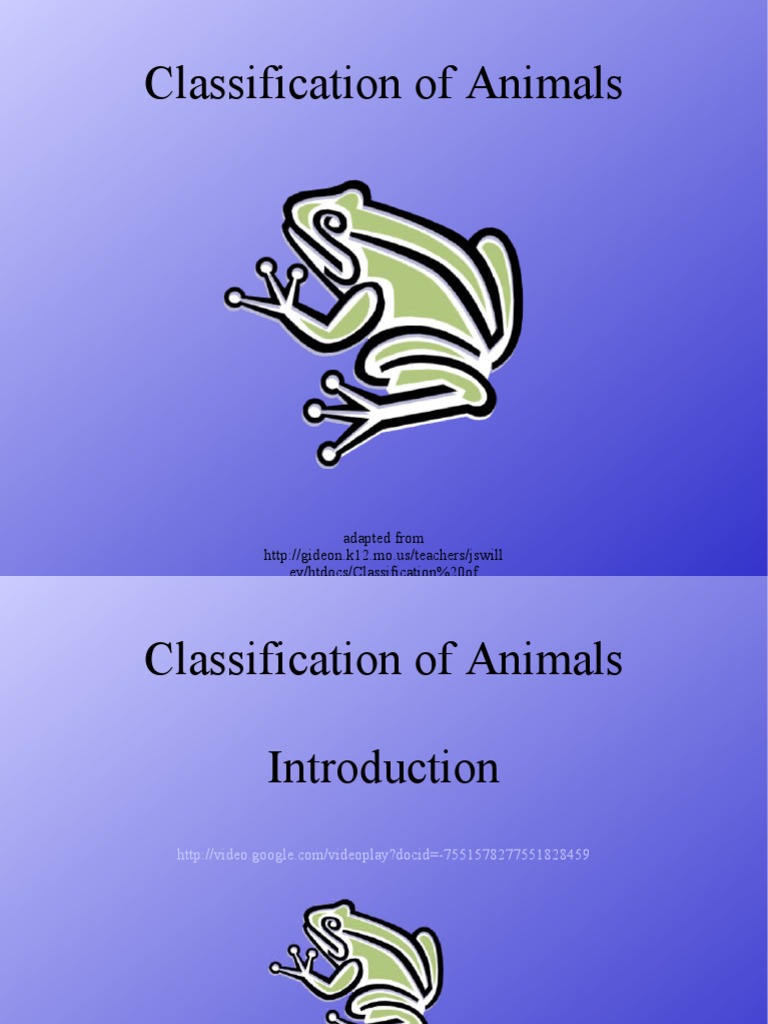 Animal Classification Overview | PDF
