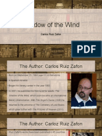 Shadow of the Wind 1st Report