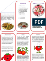 TRIPTICO Tomate PDF