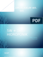 5W 1H Hidroponik