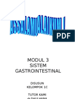 Modul 3 Gaster