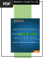Biologia Mapas Geneticos