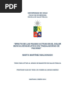 1. Gantt Aplicación Protocolo Tmert - Steinsvik Chile s.a 