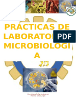 Informe 2 Microbiologia