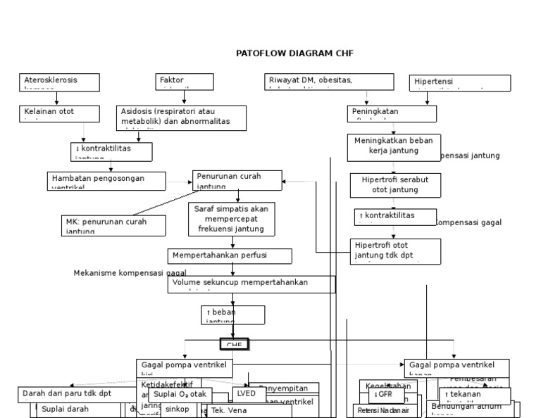Diagram Patoflow Gagal Jantung CHF | PDF | Sains & Matematika