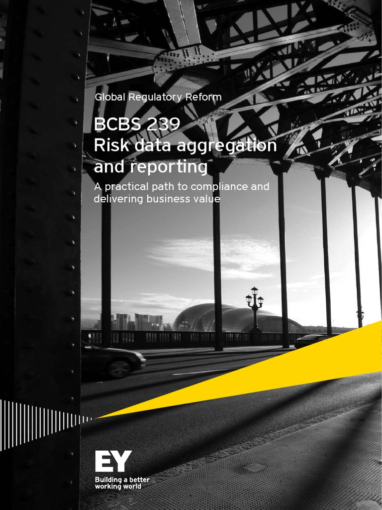 Basel Bcbs 239 Download Free Pdf Regulatory Compliance Governance