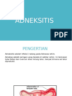 ADNEKSITIS