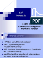 02 SAP Bevezetés