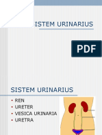 SISTEM URINARIUS.ppt