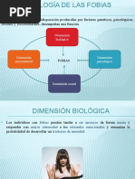 Etiología de Las Fobias