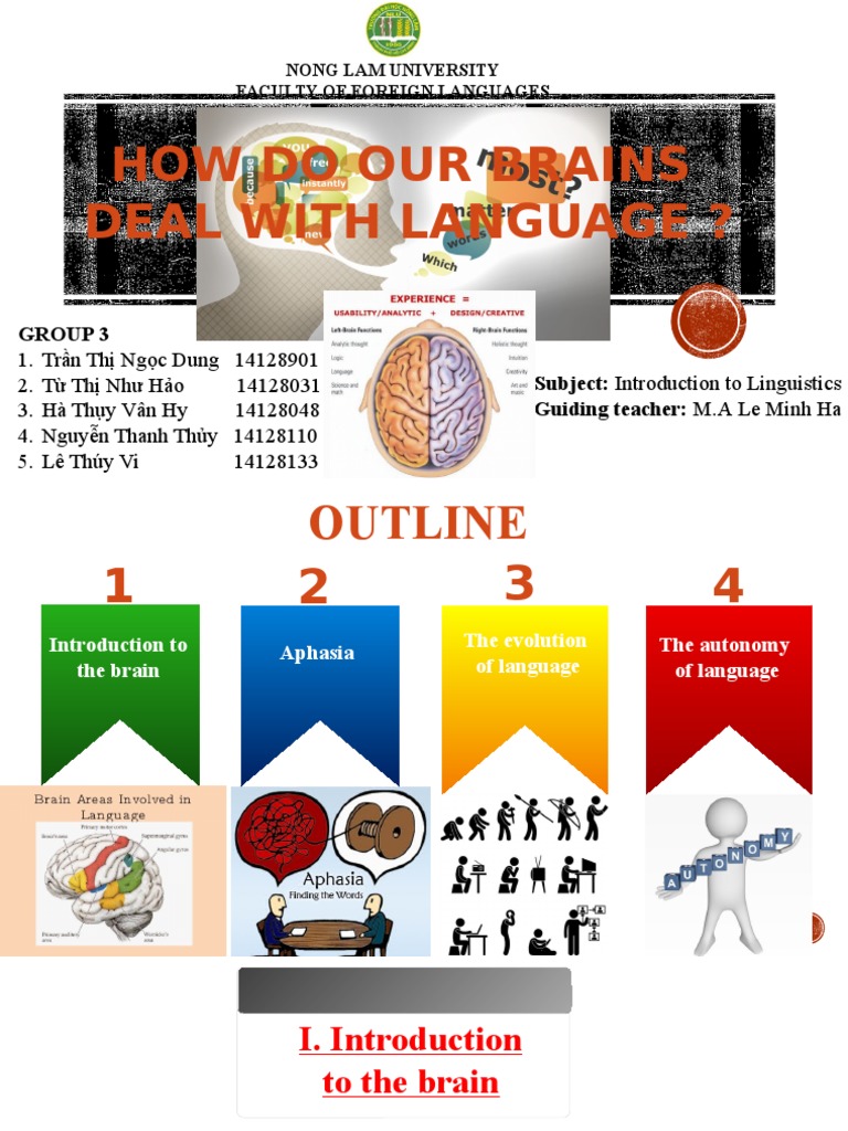 Brain Functions in Language Processing | PDF | Aphasia | Lateralization ...