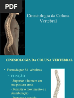 Cinesiologia Da Coluna Vertebral