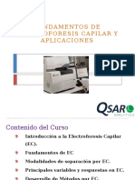 Fundamentos de Electroforesisi Capilar