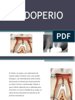 Endo Perio