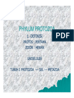 Protozoa 1 PDF