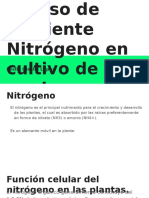 Alteración Por Deficiencia y Exceso de Nutriente Nitrógeno en Cultivo de Pepino. Leslie Lopez