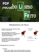 Metabolismo Do Ferro