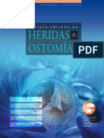 Revista Chilena-Heridas y Ostomias 2010